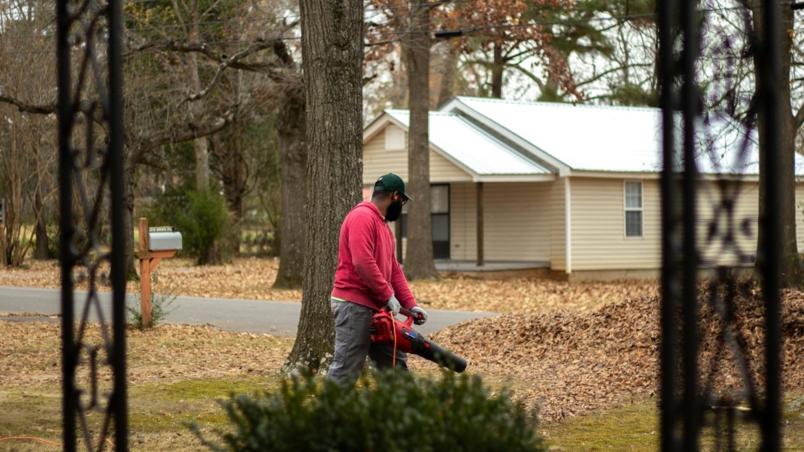 Leaf Cleanup