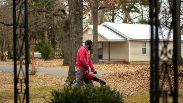 Leaf Cleanup