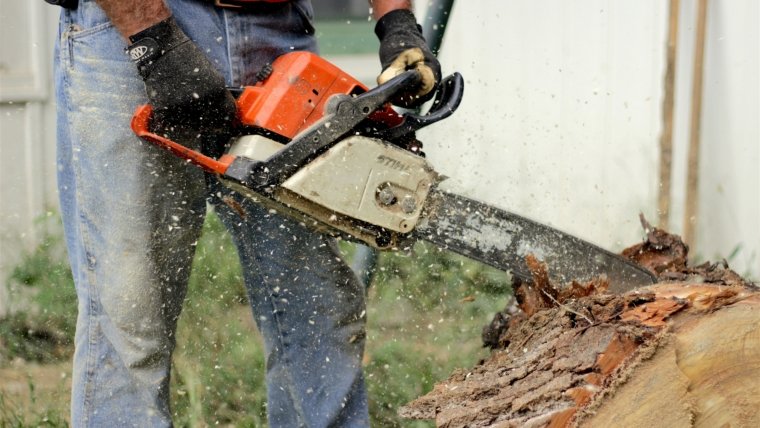Tree Work